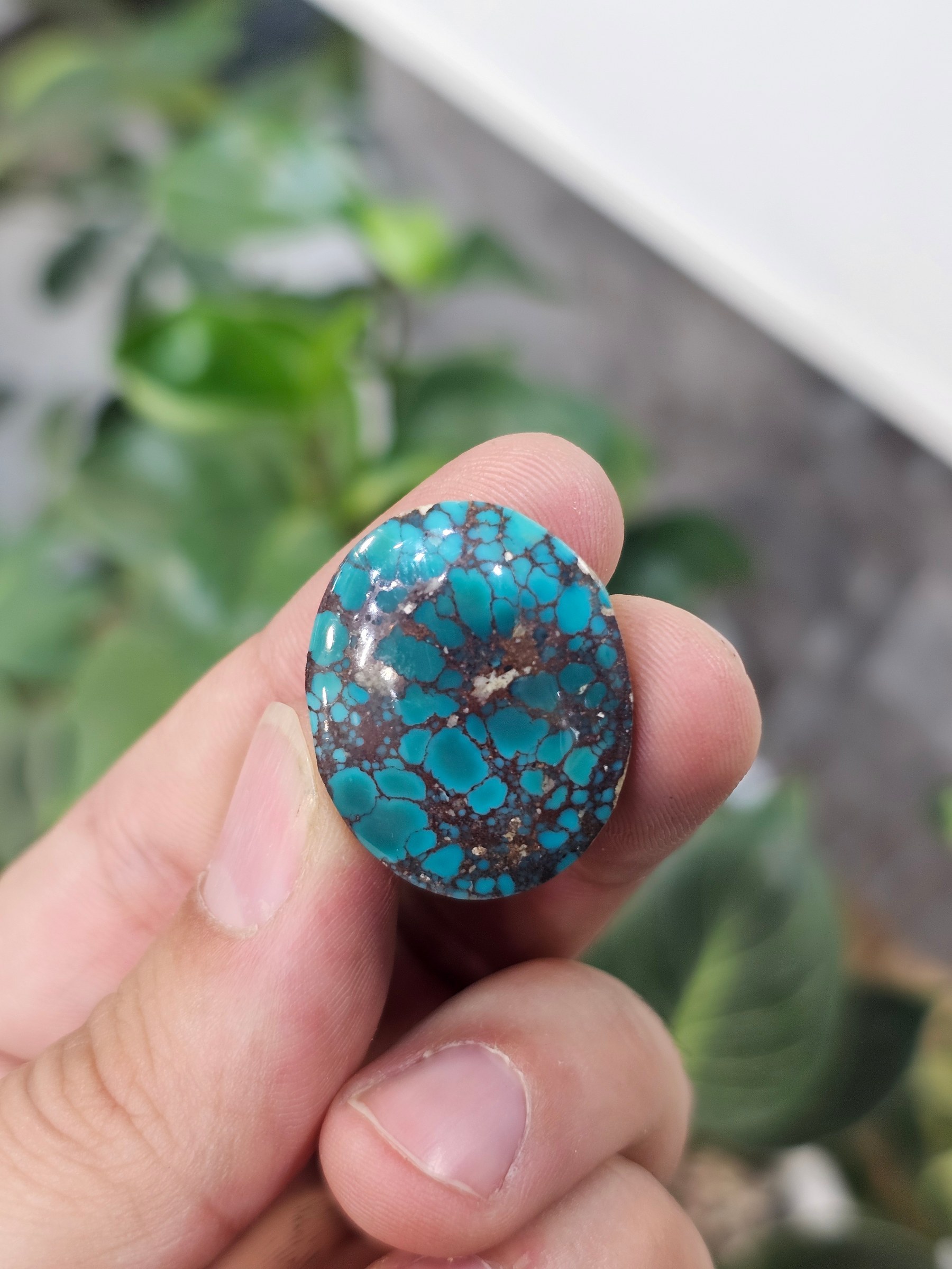 Close view of a round polished turquoise cabochon in deep blue with heavy black-brown matrix.