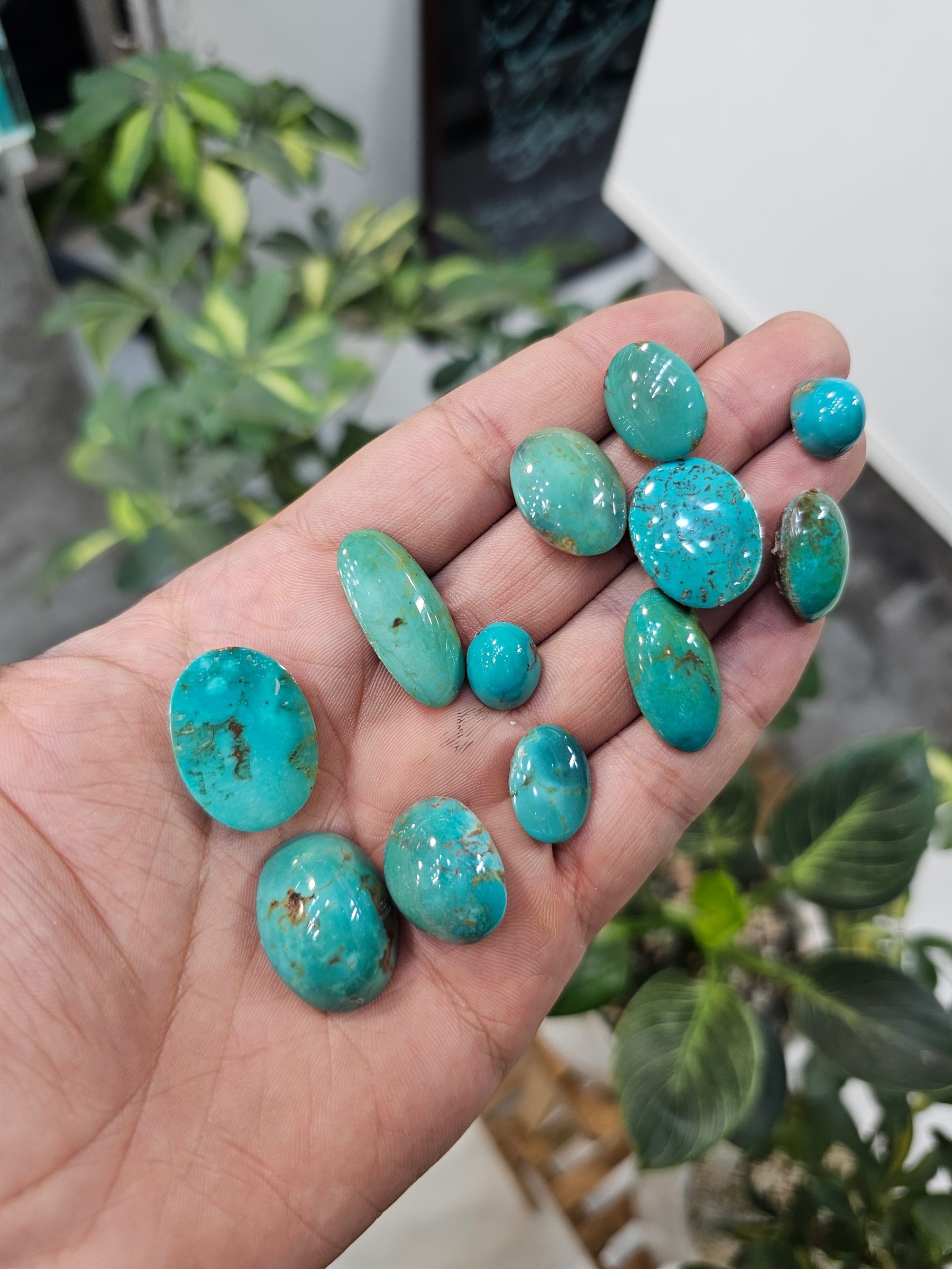 A hand holds polished turquoise cabochons in pale blue-green tones with light matrix.
